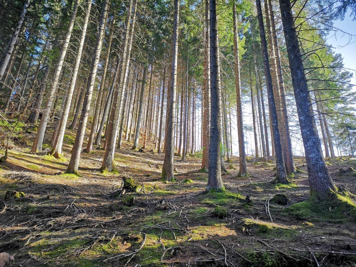 Maso Sveseri Montesover Exteriör bild