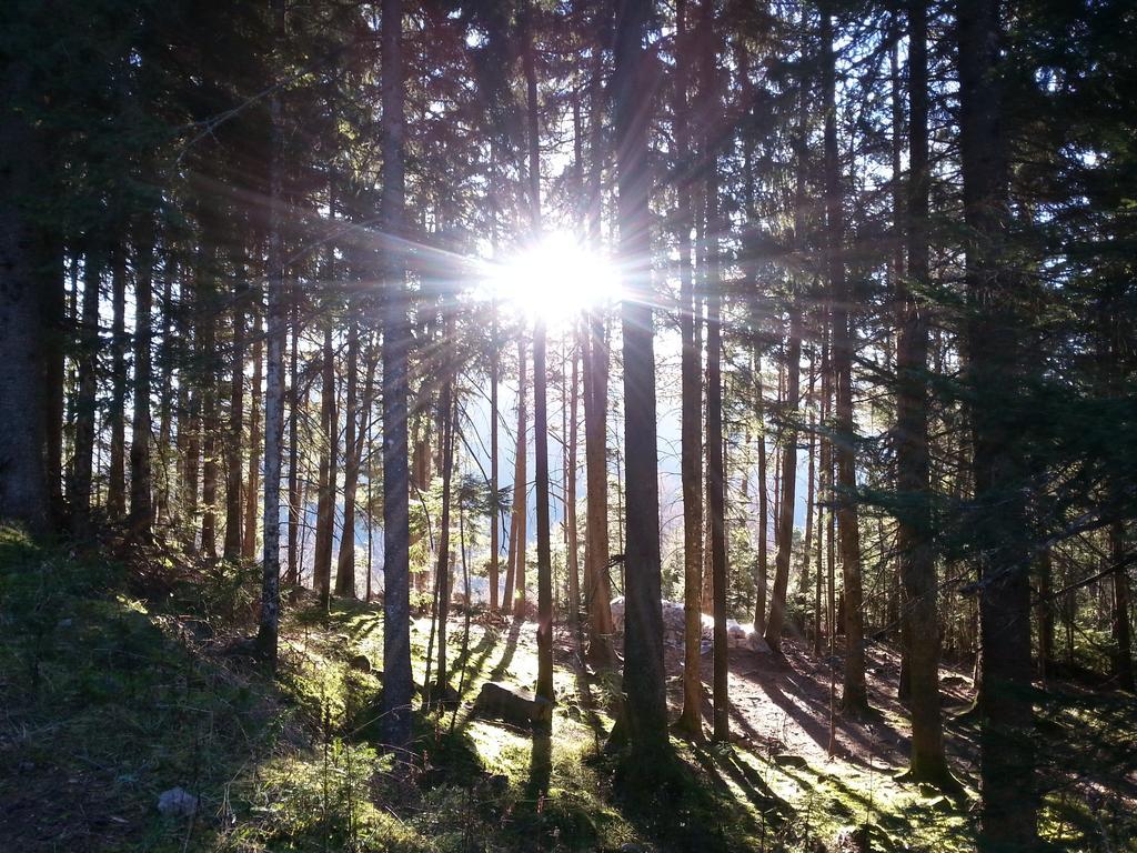 Maso Sveseri Montesover Exteriör bild